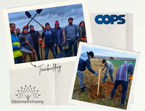 COPS plants trees – Team building and agility